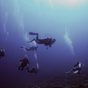Diving in the Strait + Messina tour