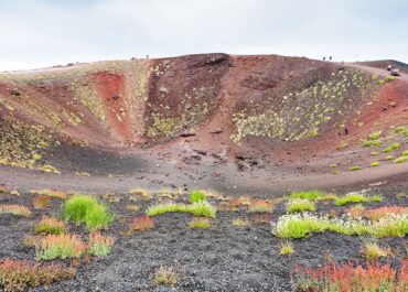 Etna Wineries Tour and Silvestri Craters Discovering