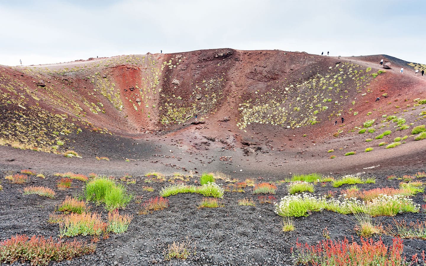 Etna Wineries Tour and Silvestri Craters Discovering
